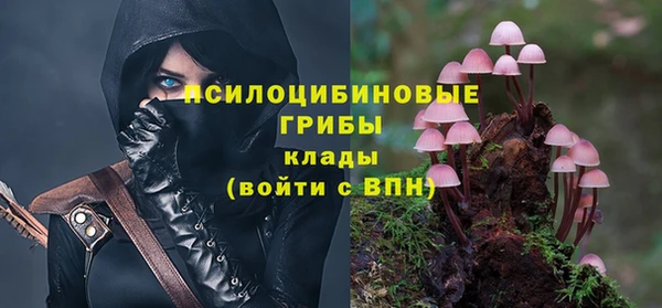 трава Арсеньев